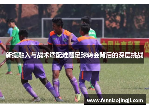 新援融入与战术适配难题足球转会背后的深层挑战 新援融入与战术适配难题足球转会背后的深层挑战